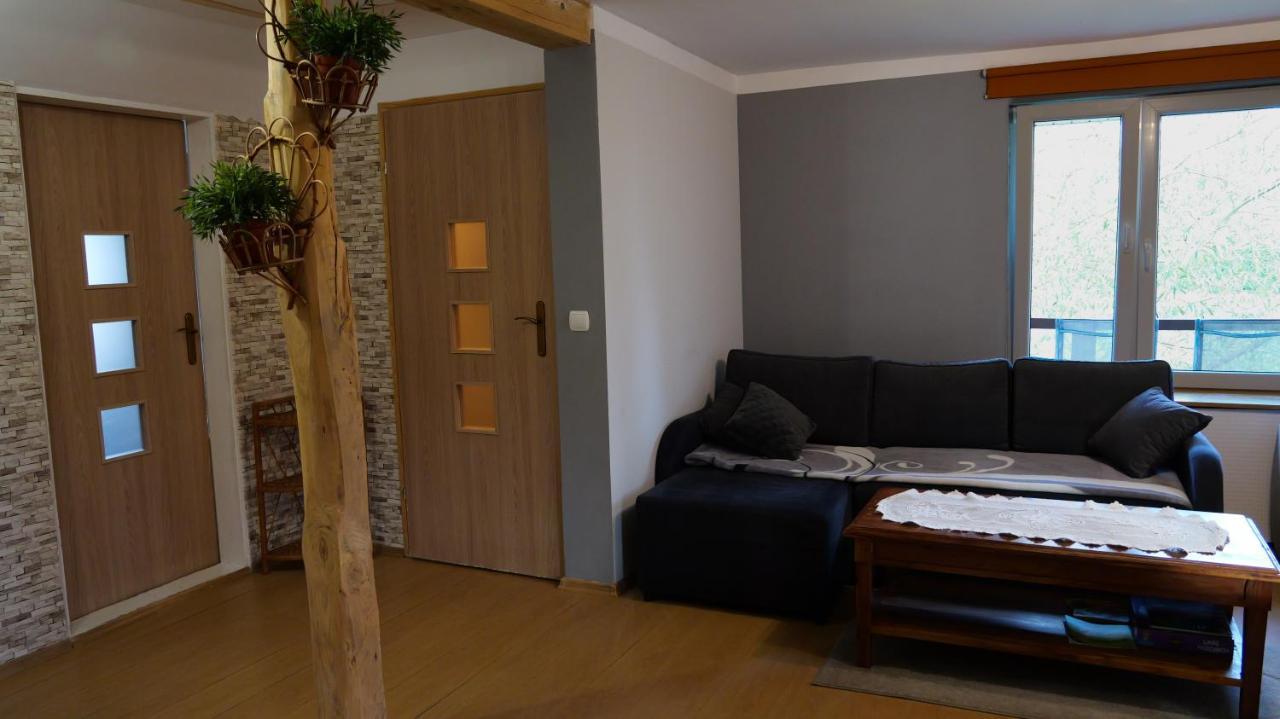 Apartamenty Lucky-Ski Ustrzyki Dolne Exteriér fotografie